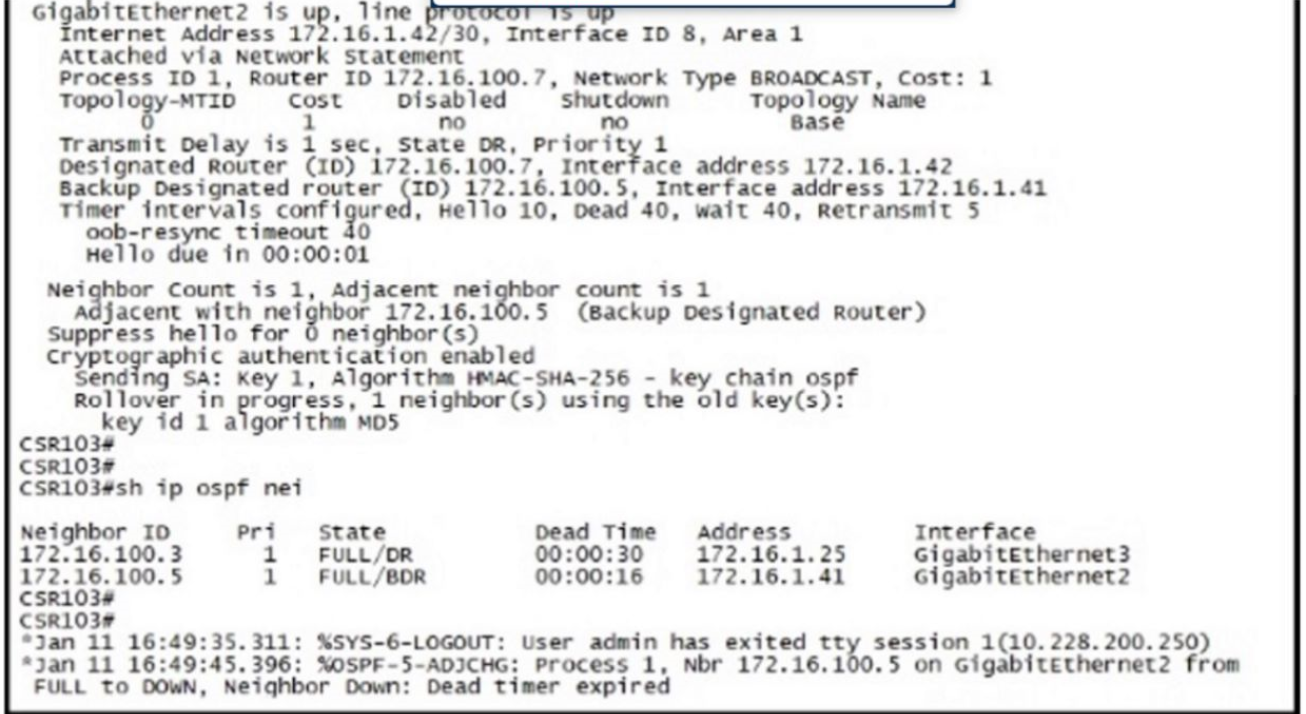 300-410 Testengine